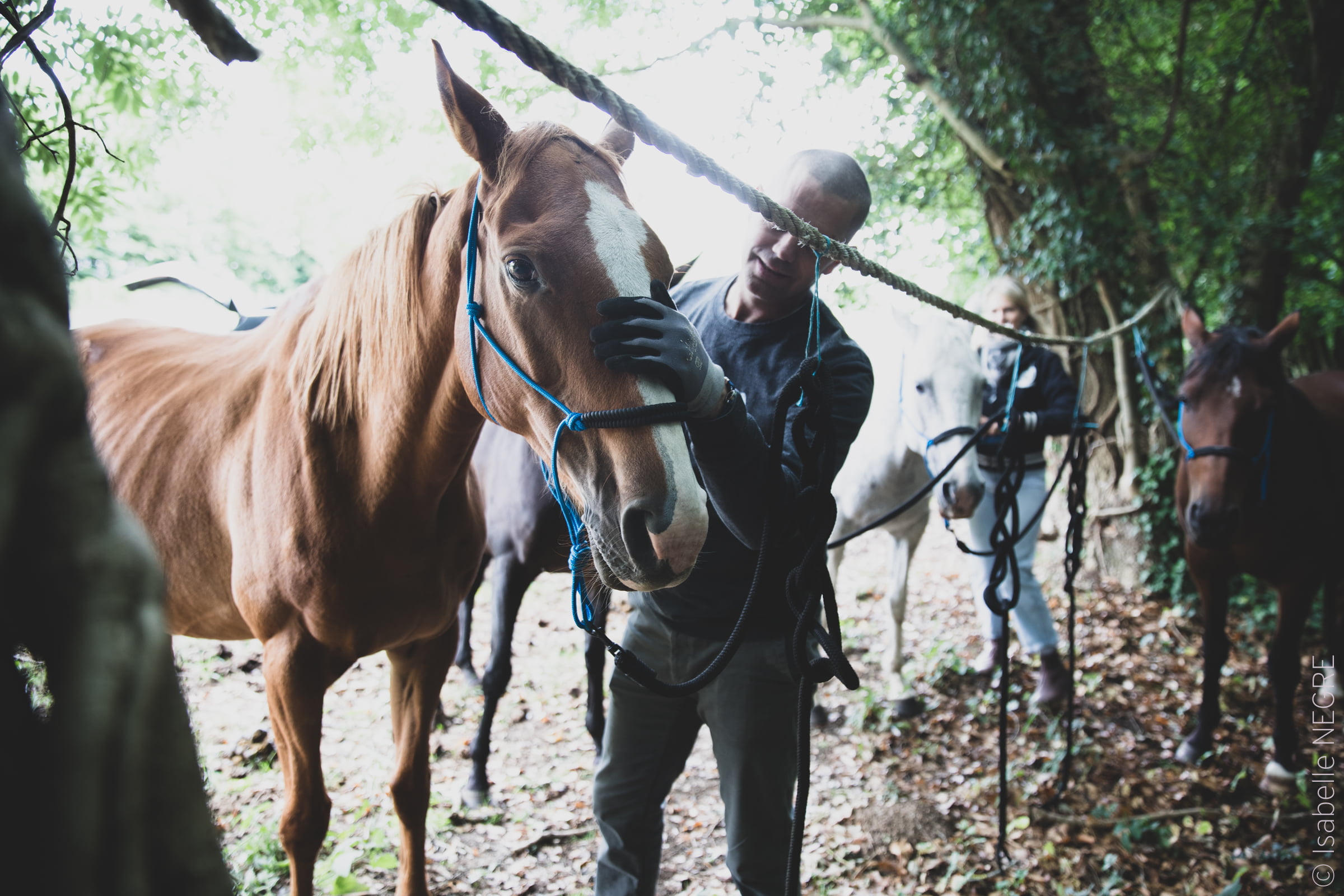 thibault et un cheval
